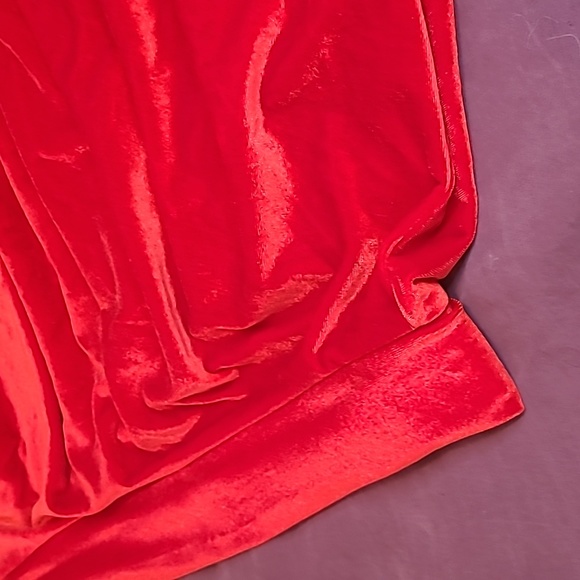Red Velvet Skirt NWT - Picture 2 of 2